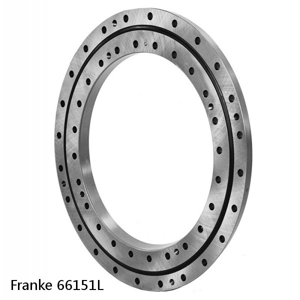 66151L Franke Slewing Ring Bearings