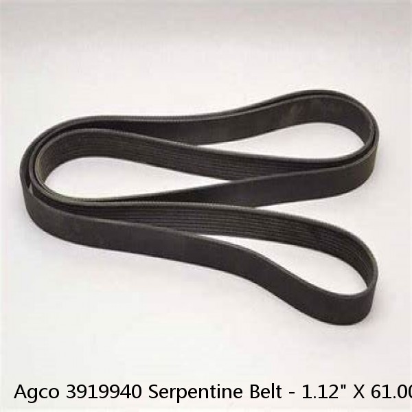 Agco 3919940 Serpentine Belt - 1.12" X 61.00" - 8 Ribs