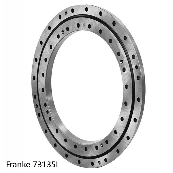 73135L Franke Slewing Ring Bearings