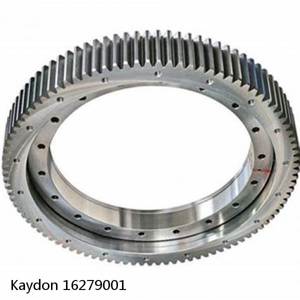 16279001 Kaydon Slewing Ring Bearings #1 small image