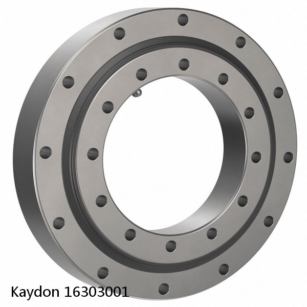16303001 Kaydon Slewing Ring Bearings #1 small image