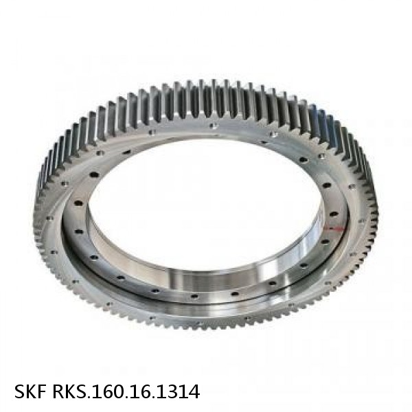 RKS.160.16.1314 SKF Slewing Ring Bearings #1 small image