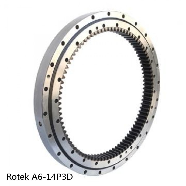 A6-14P3D Rotek Slewing Ring Bearings #1 small image