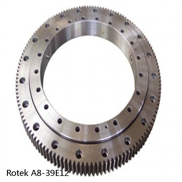 A8-39E12 Rotek Slewing Ring Bearings #1 small image