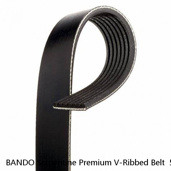 BANDO Serpentine Premium V-Ribbed Belt  5PK965 #1 small image