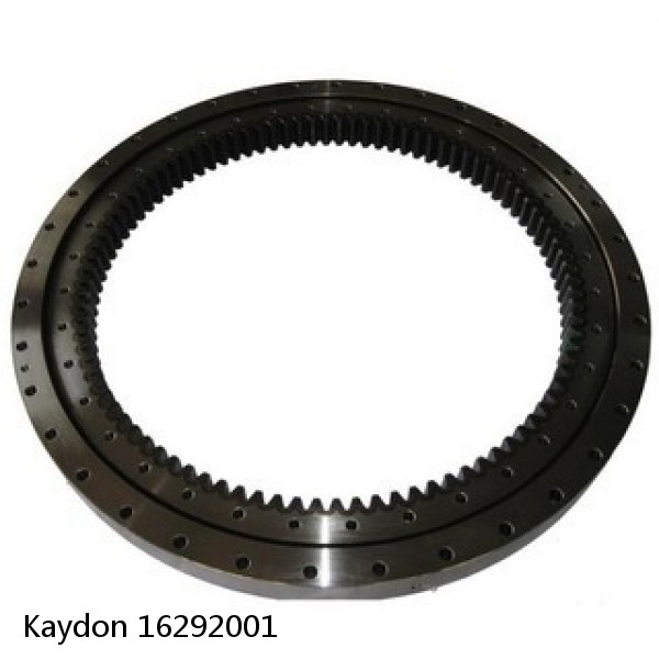 16292001 Kaydon Slewing Ring Bearings #1 image
