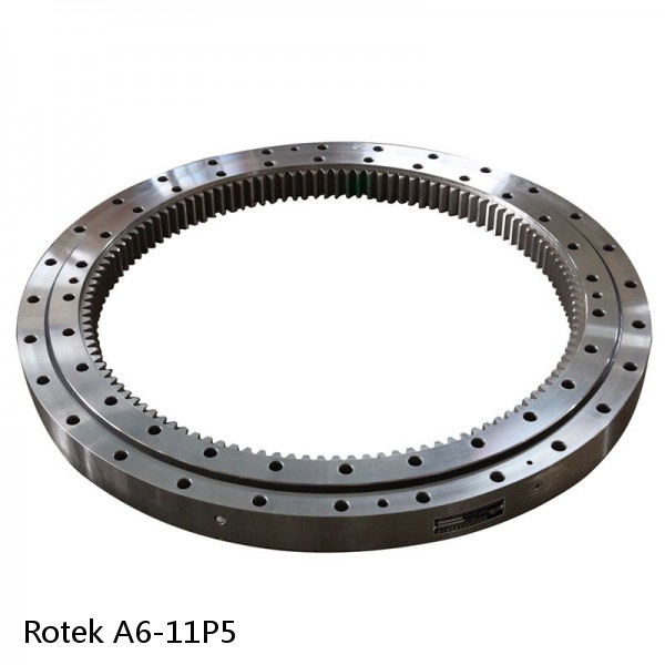 A6-11P5 Rotek Slewing Ring Bearings #1 image