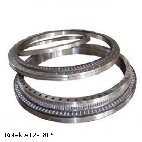 A12-18E5 Rotek Slewing Ring Bearings #1 image
