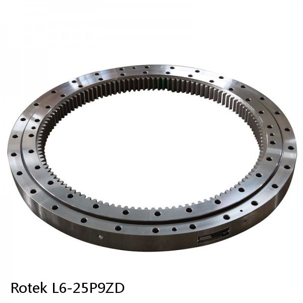 L6-25P9ZD Rotek Slewing Ring Bearings #1 image