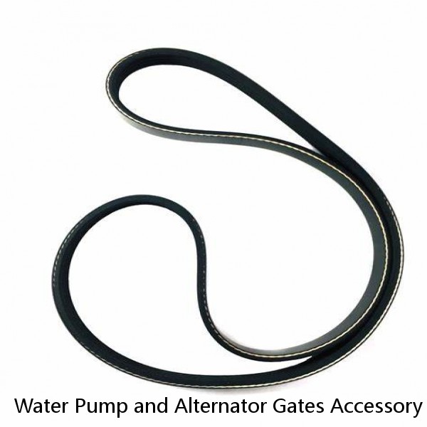 Water Pump and Alternator Gates Accessory Drive Belt Fits for J8C0 1988-1989 #1 image