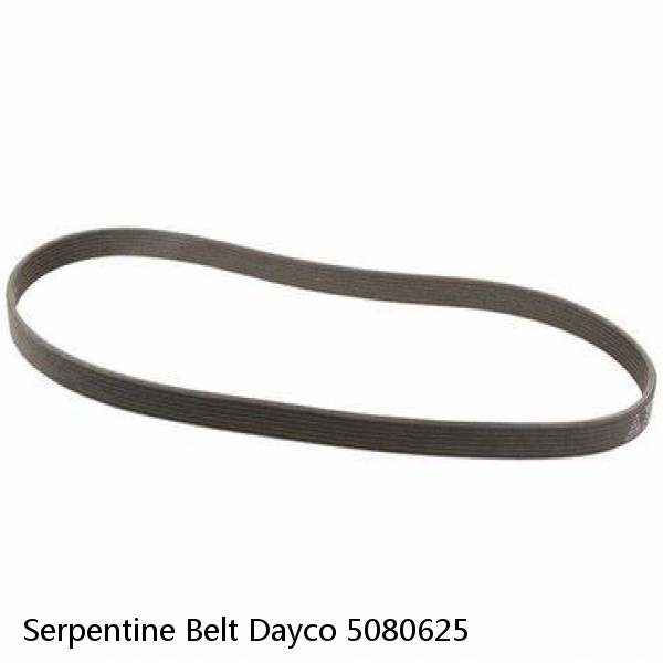 Serpentine Belt Dayco 5080625 #1 image