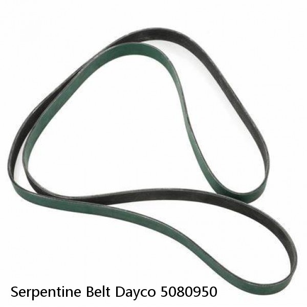 Serpentine Belt Dayco 5080950 #1 image